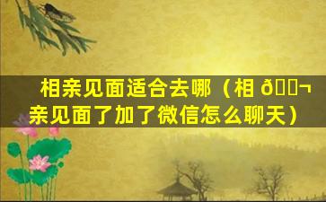 相亲见面适合去哪（相 🐬 亲见面了加了微信怎么聊天）